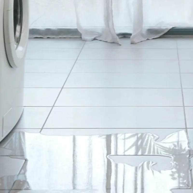 Appliance Leak Cleanup in Toftrees, PA