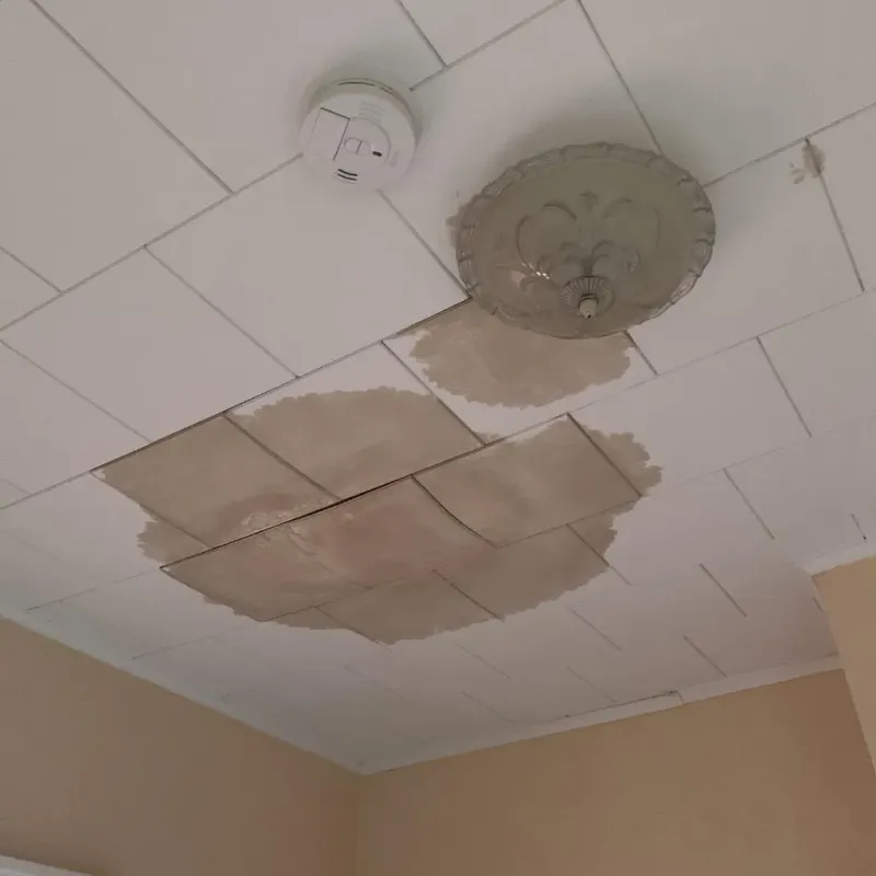 Ceiling Water Damage Repair in Toftrees, PA