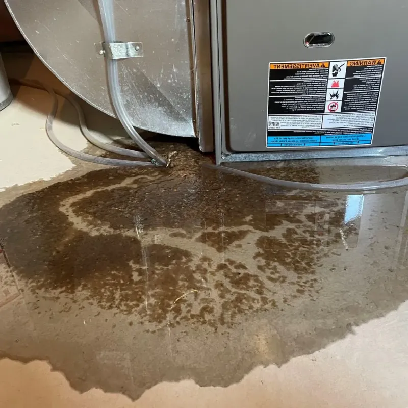 Pipe Burst and Leak Restoration in Toftrees, PA