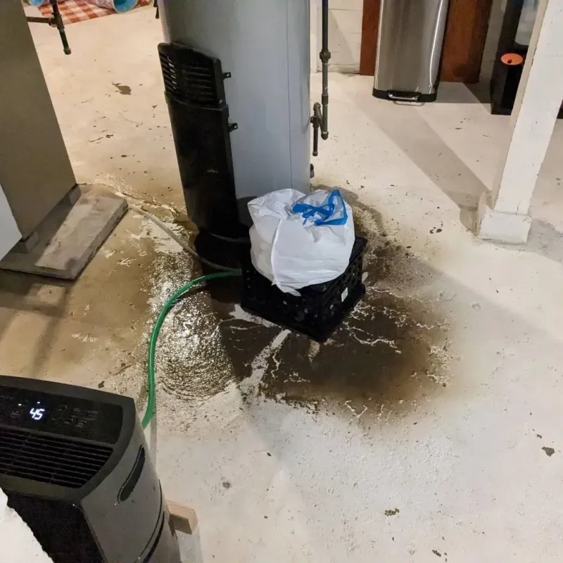 Sewage Backup Cleanup Service in Toftrees, PA